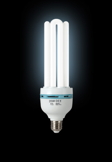 Энергосберегающая лампа Gauss 4U 220-240V 65W 6500K E27 